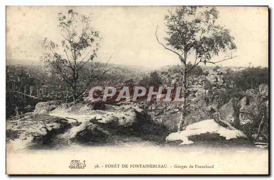 CPA Foret de Fontainebleau Gorges de Franchard 