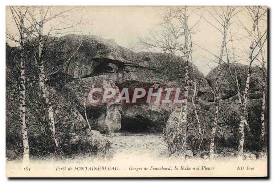 CPA Foret de Fontainebleau Gorges de Franchard la Roche qui Pleure 