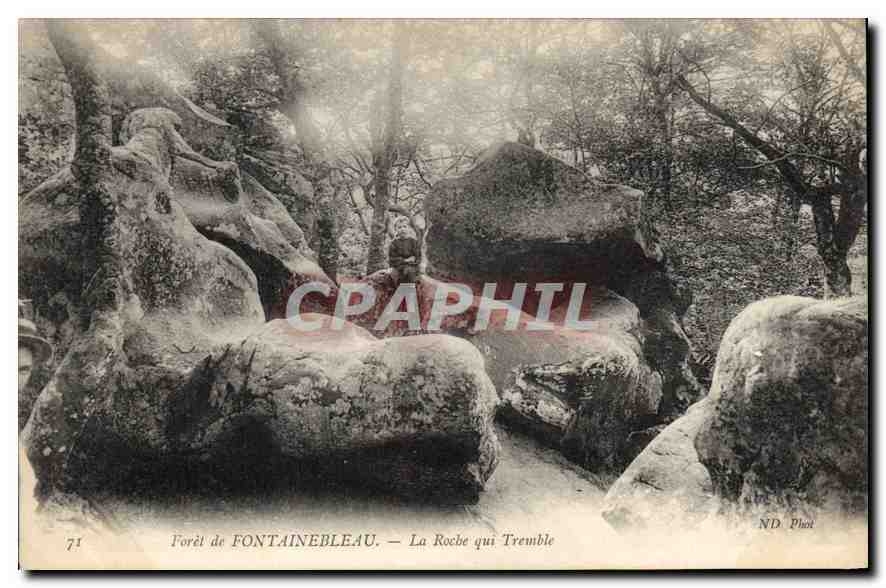 CPA Foret de Fontainebleau La Roche qui Tremble 