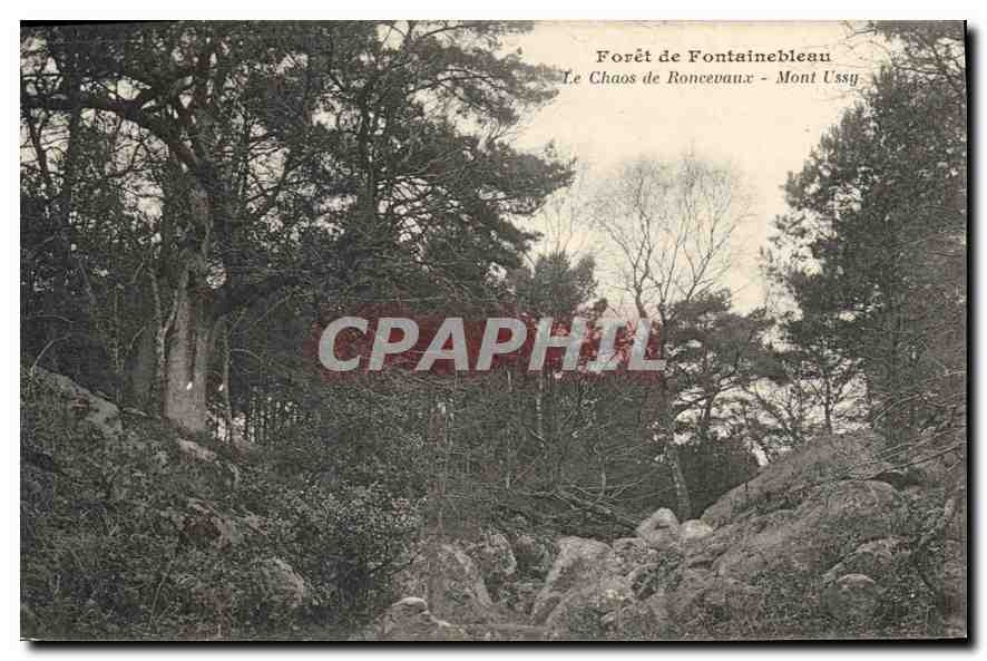 CPA Foret de Fontainebleau Le Chaos de Roncevaux Mont Ussy 