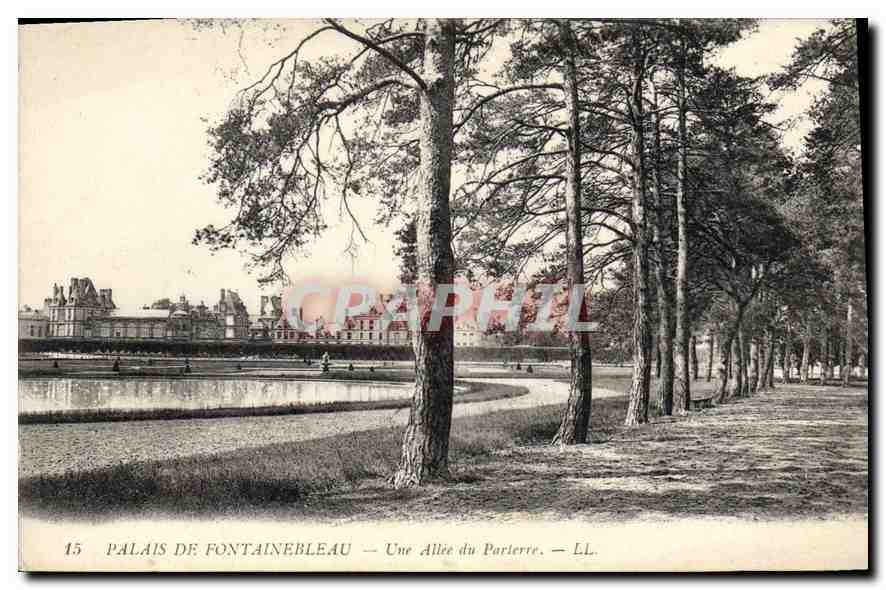 CPA Palais de Fontainebleau Une Allee du Parterre 