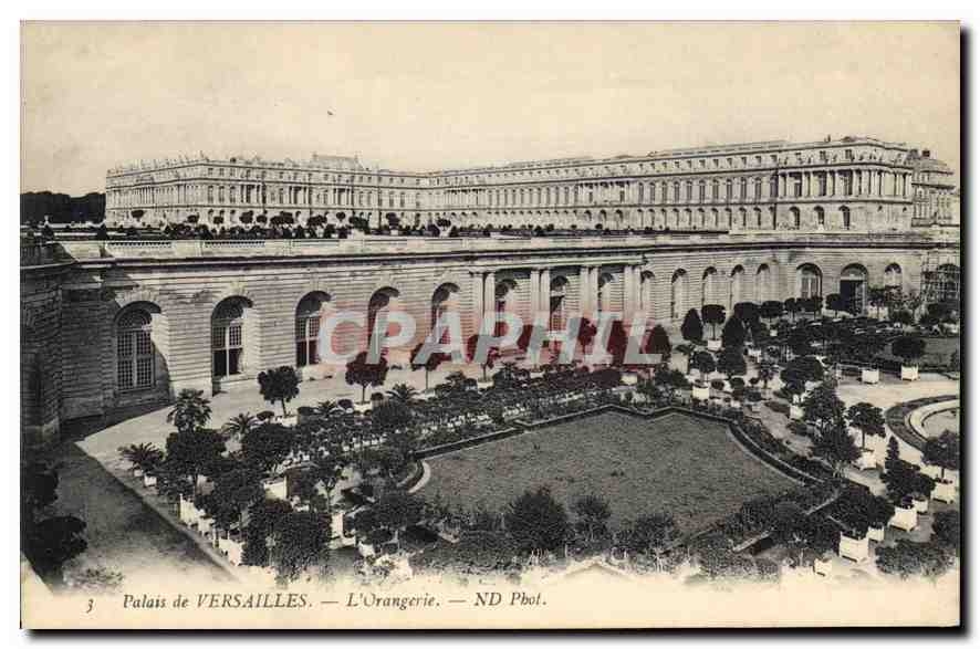 CPA Palais de Versailles L'Orangerie 