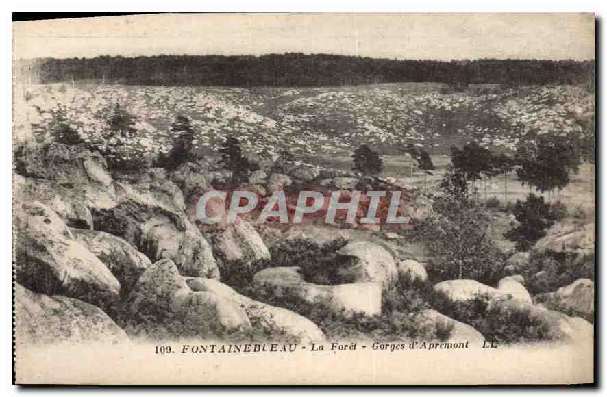 CPA Fontainebleau La Foret Gorges d'Apremont