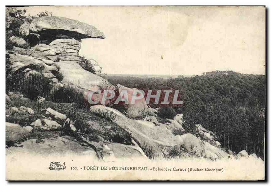 CPA Foret de Fontainebleau Belvedere Carnot 