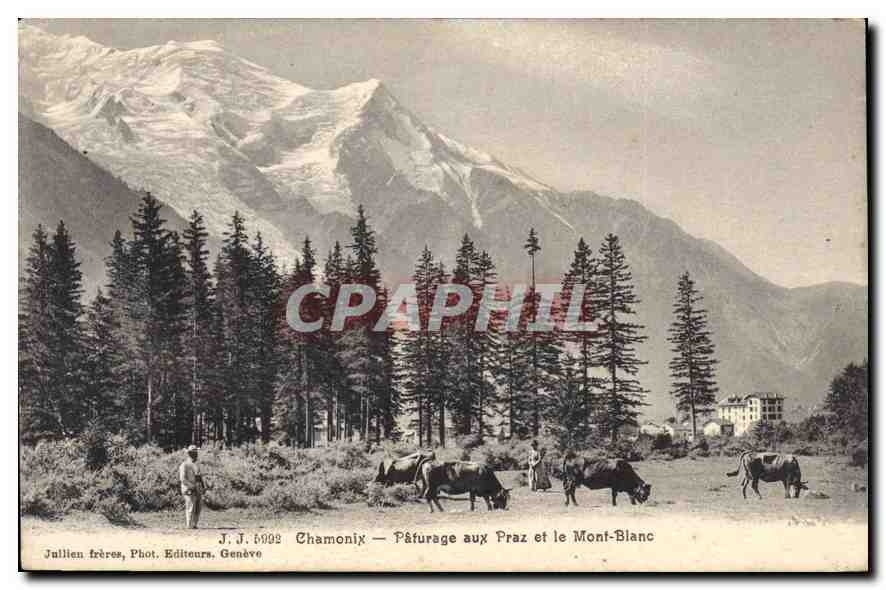 CPA Chamonix Paturage aux Prz et le Mont Blanc