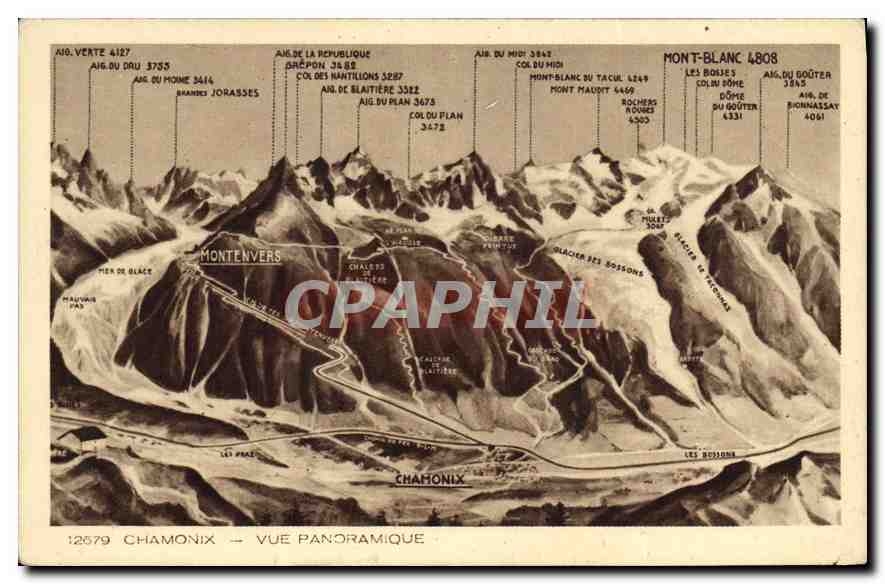 CPA Chamonix Vue Panoramique