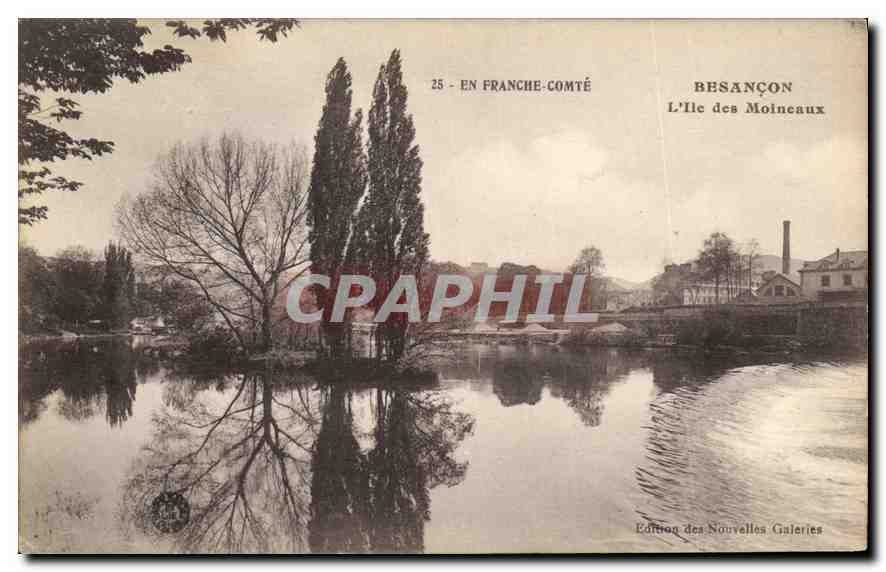 CPA Besancon L'Ile des Moineaux