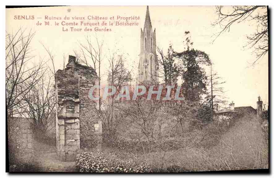 CPA Senlis (Oise) Ruines Du Vieux Chateau et Propriete de M le Comte Furquet de la Boisserie La Toue