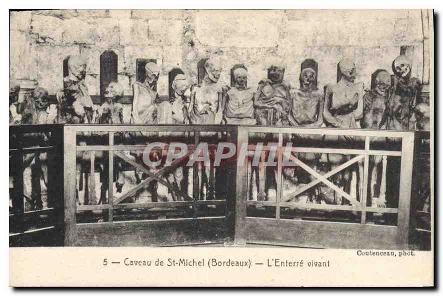 CPA Bordeaux Caveau de St Michel L'Entree vivant