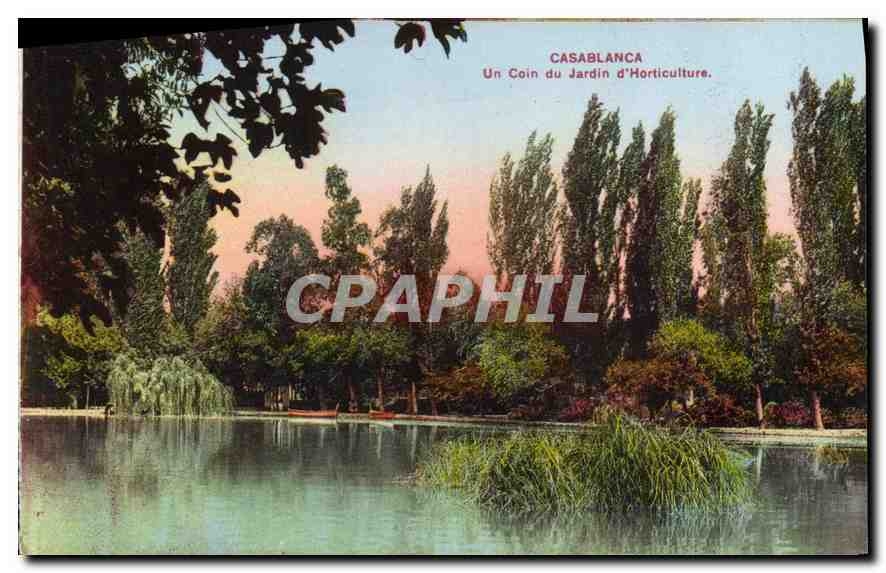 CPA Casablanca Un coin du Jardin d'Horticulture