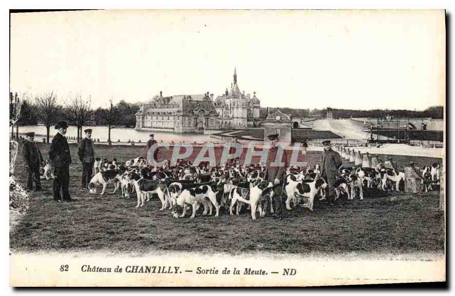 CPA Chateau de Chantilly Sortie de la Meute Chiens