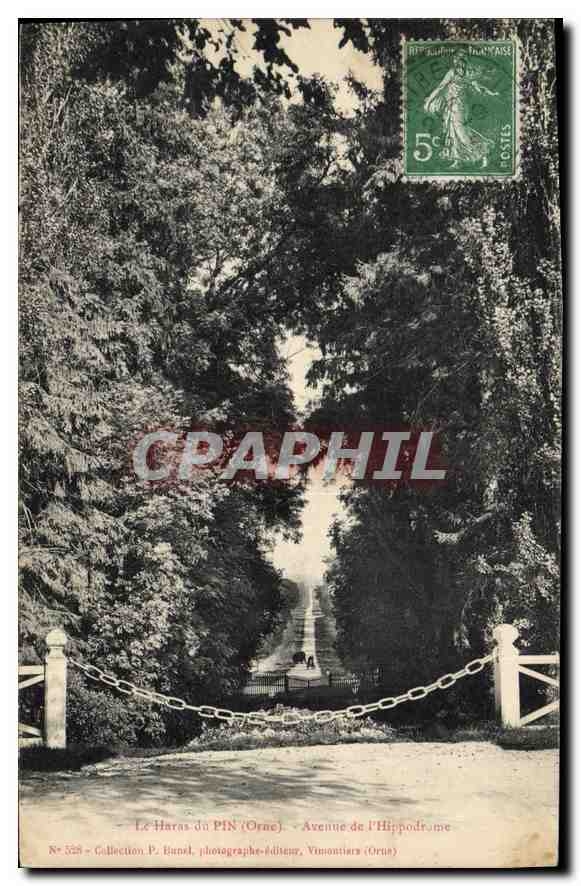 CPA Le Haras du Pin Orne Avenue de l'Hippodrome