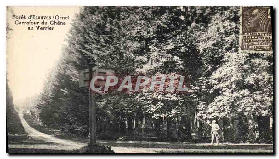 CPA Foret d'Ecouves Orne Carrefour du Chene au Verrier 