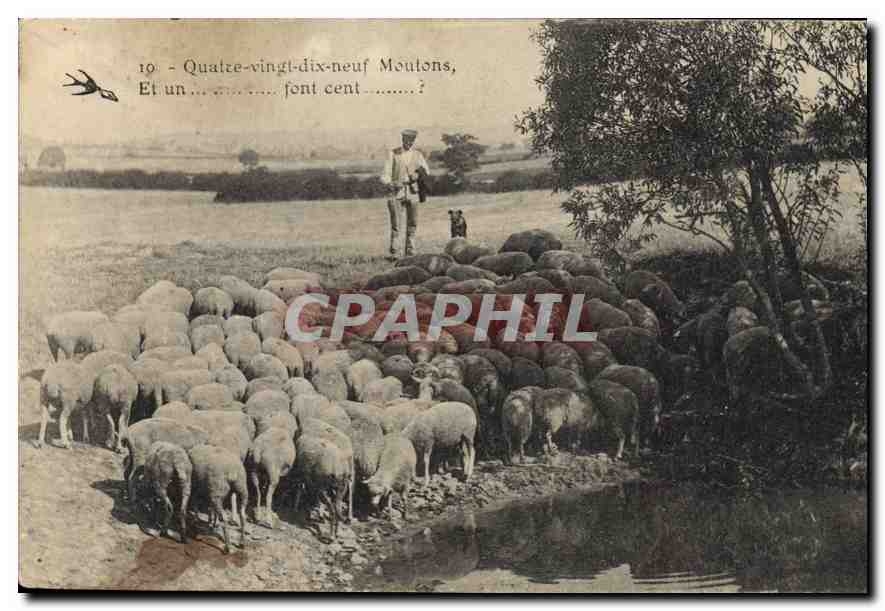 CPA Quatre vingt dix neuf Moutons 