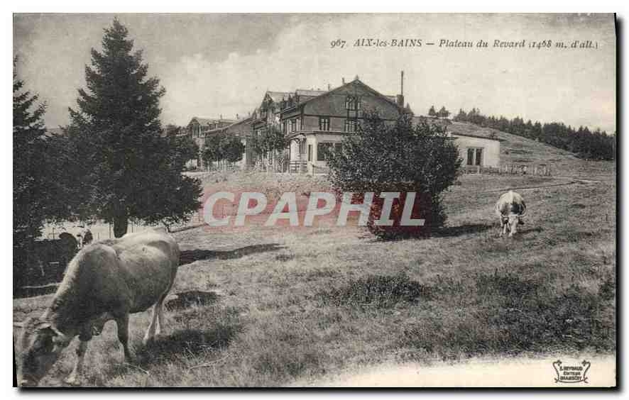 CPA Aix les Bains Plateau du Revard Vaches