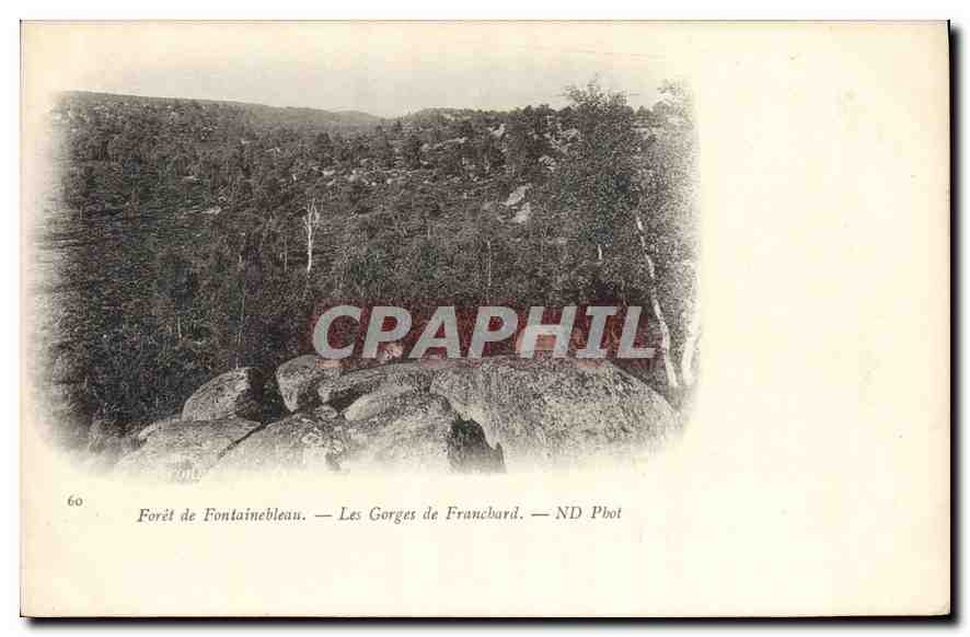 CPA Foret de Fontainebleau Les Gorges de Franchard