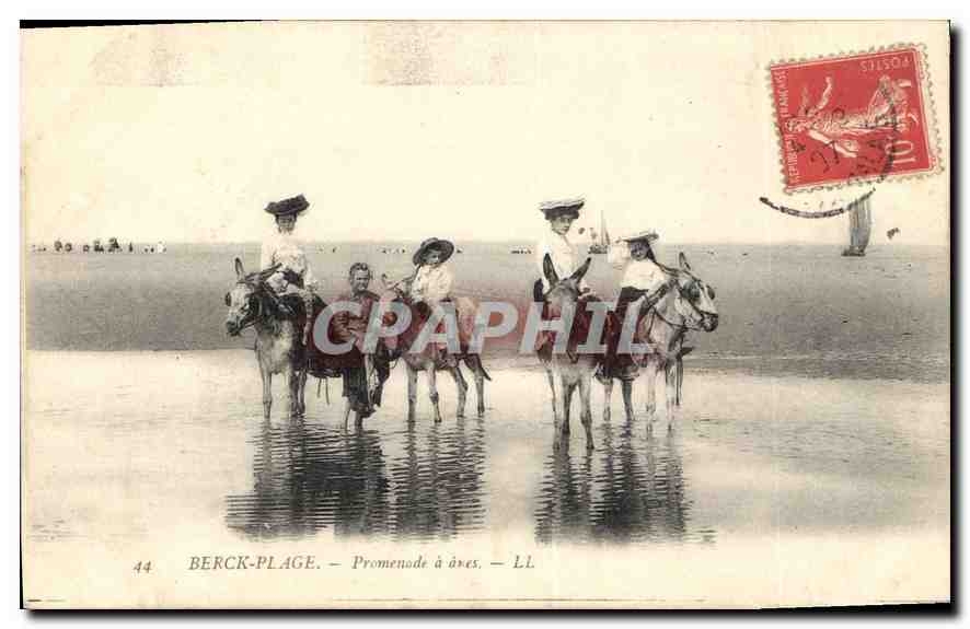 CPA Berck Plage Promenade a anes Mules