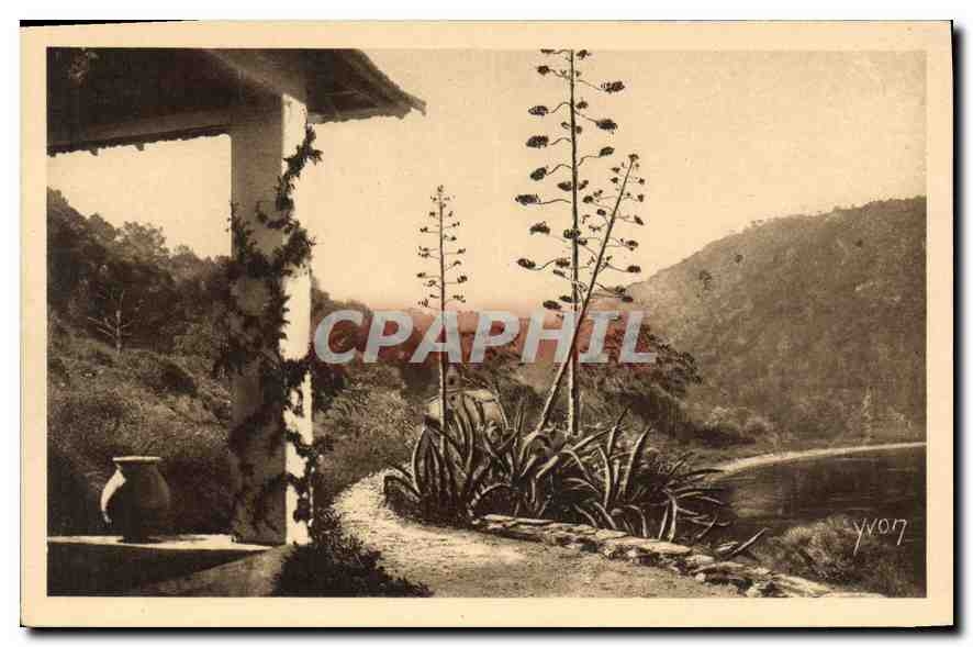 CPA Ile de Port Cros Var 