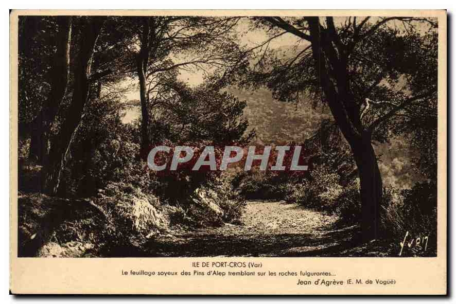 CPA Ile de Port Cros Var 