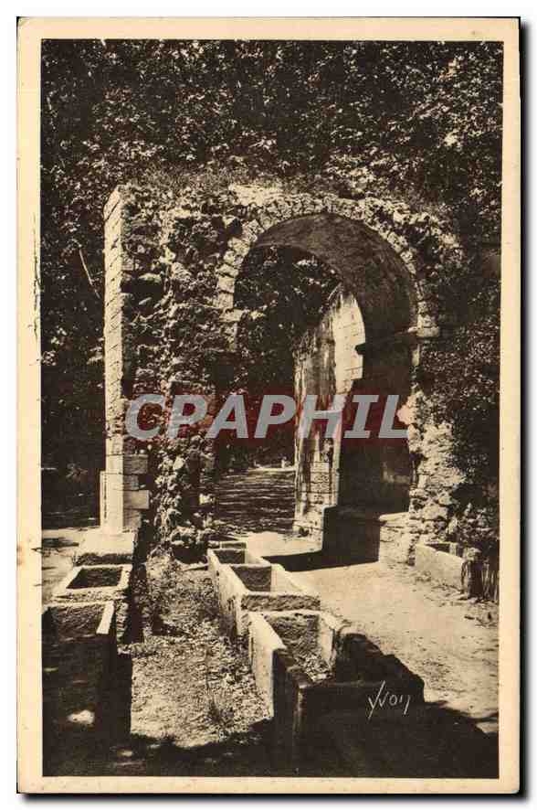 CPA Arles Bouches du Rhone Les Alyscamps 