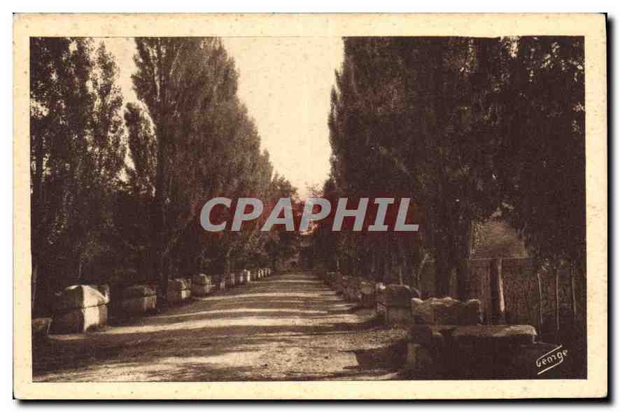CPA Arles sur Rhone Les Alyscamps Allee des Tombeaux 
