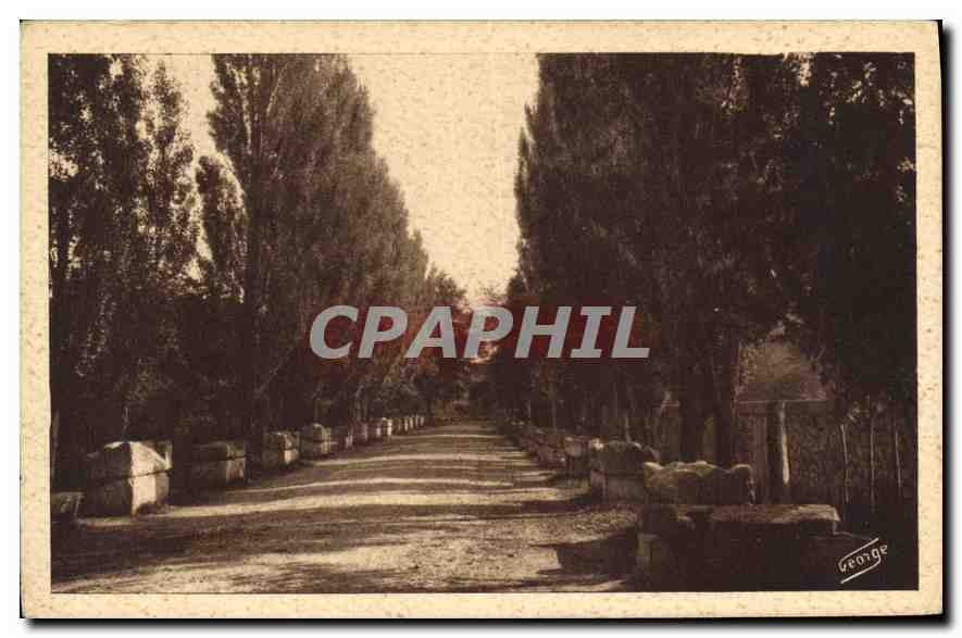 CPA Arles sur Rhone Les Alyscamps Allee des Tombeaux 