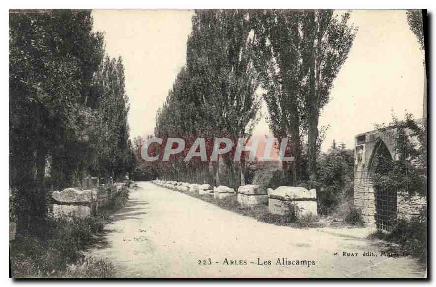 CPA Arles Les Aliscamps 