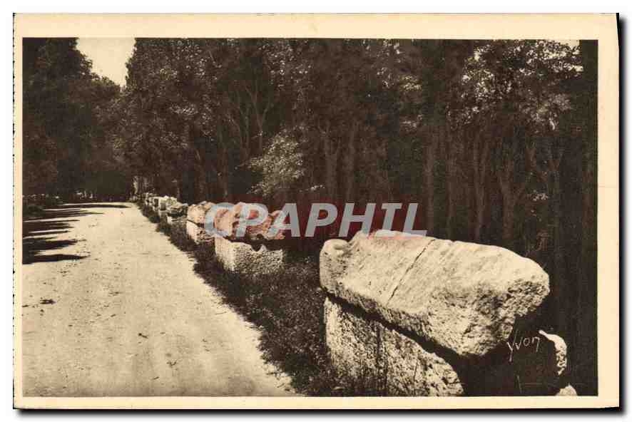 CPA Arles Bouches du Rhone Les Alyscamps L'Allee des Tombeaux