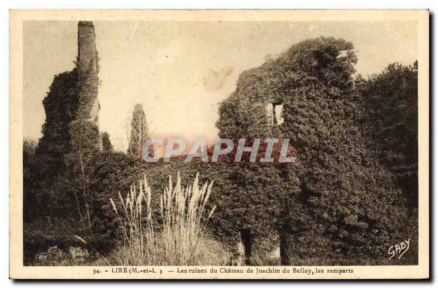 CPA Lire M et L Les ruines du Chateau de Joachim du Bellay les remparts