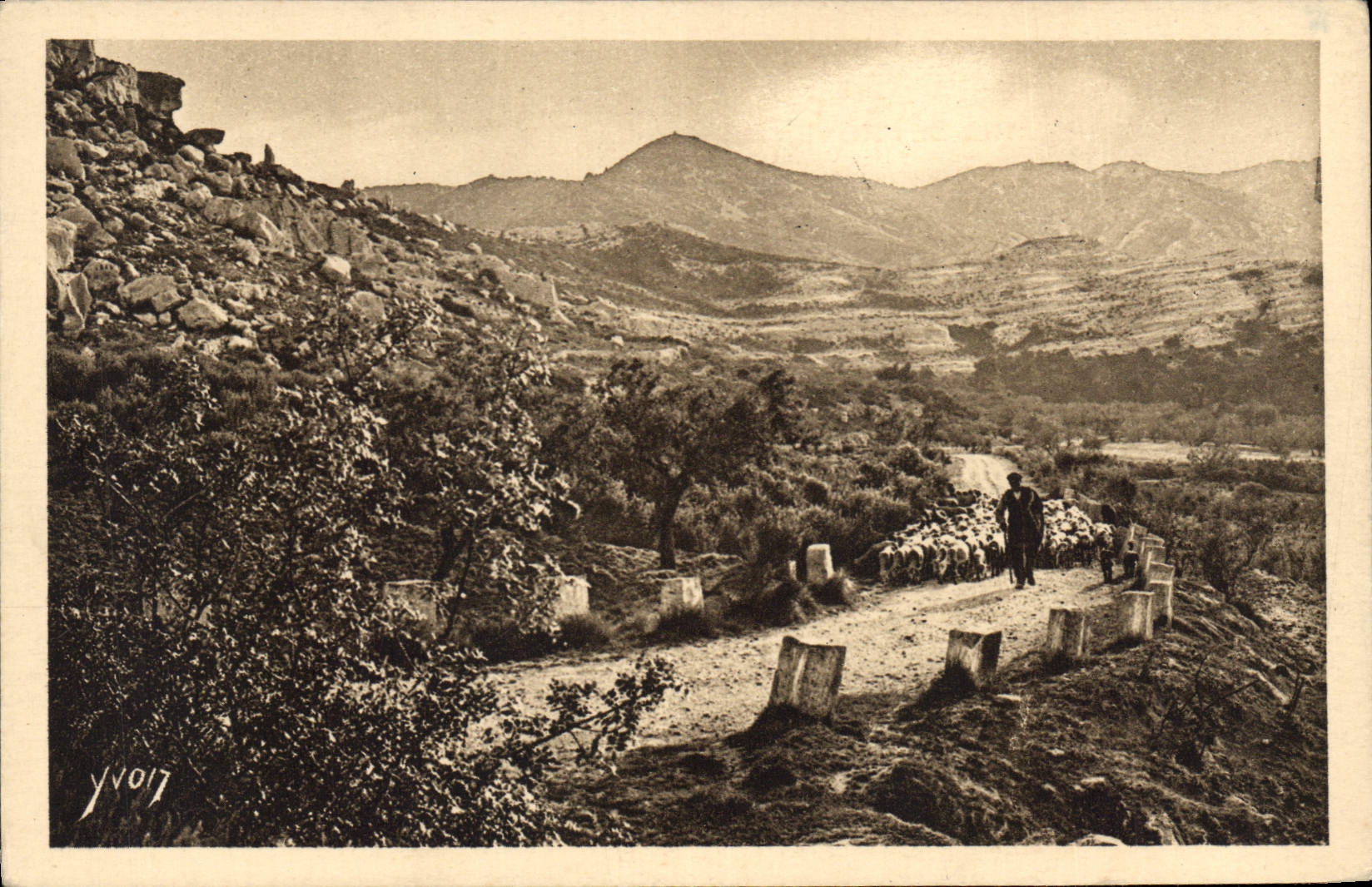 CPA Paysages et Pierres de Provence sur la route de Saint Remy aux Beaux