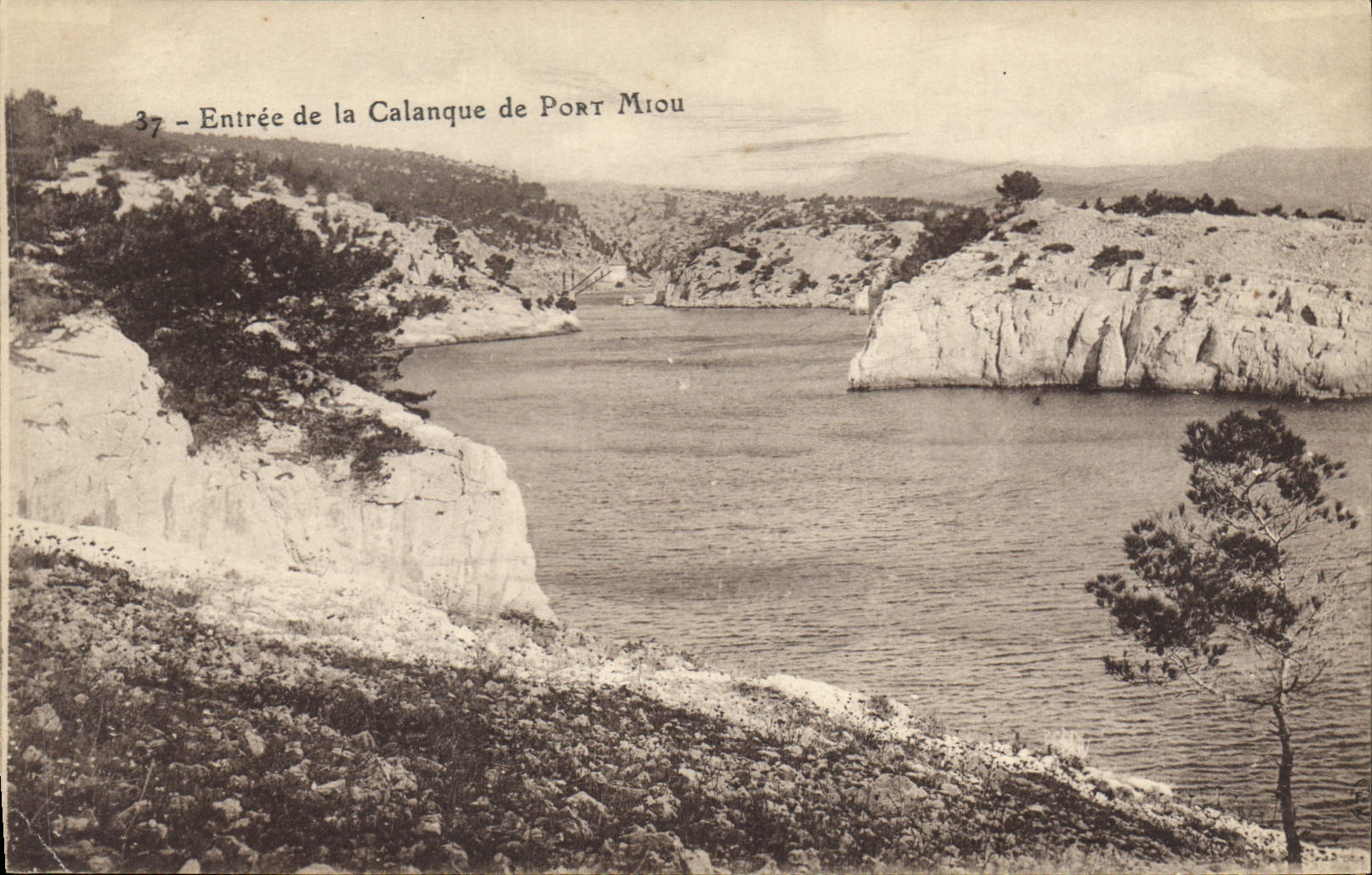 CPA Entree de la Calanque de Port Miou 