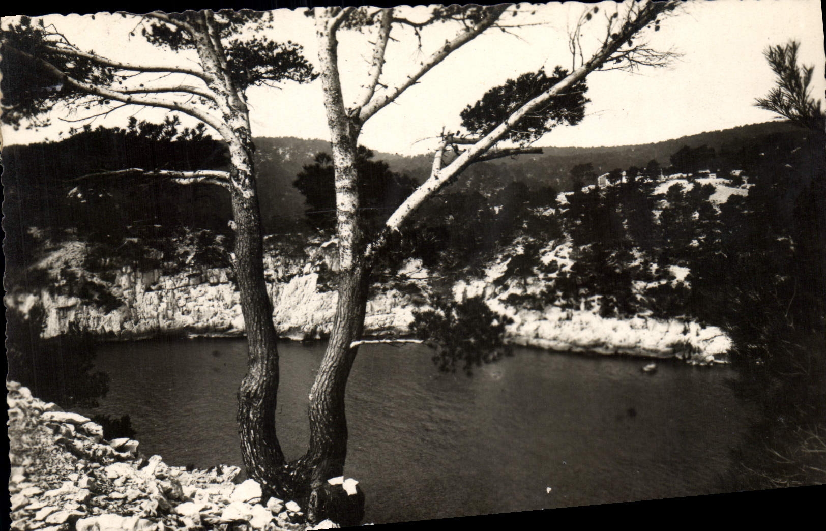 CPA Cassis sur Mer B du R Calanque de Port Pin