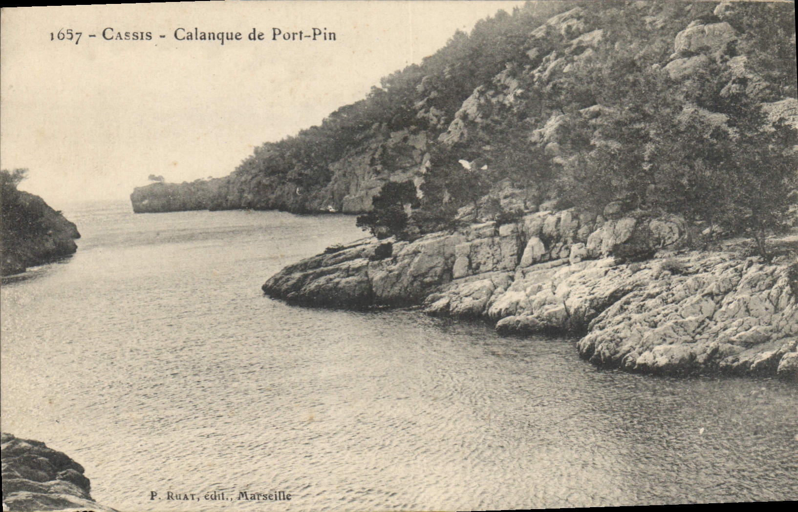 CPA Cassis Calanque de Port Pin 