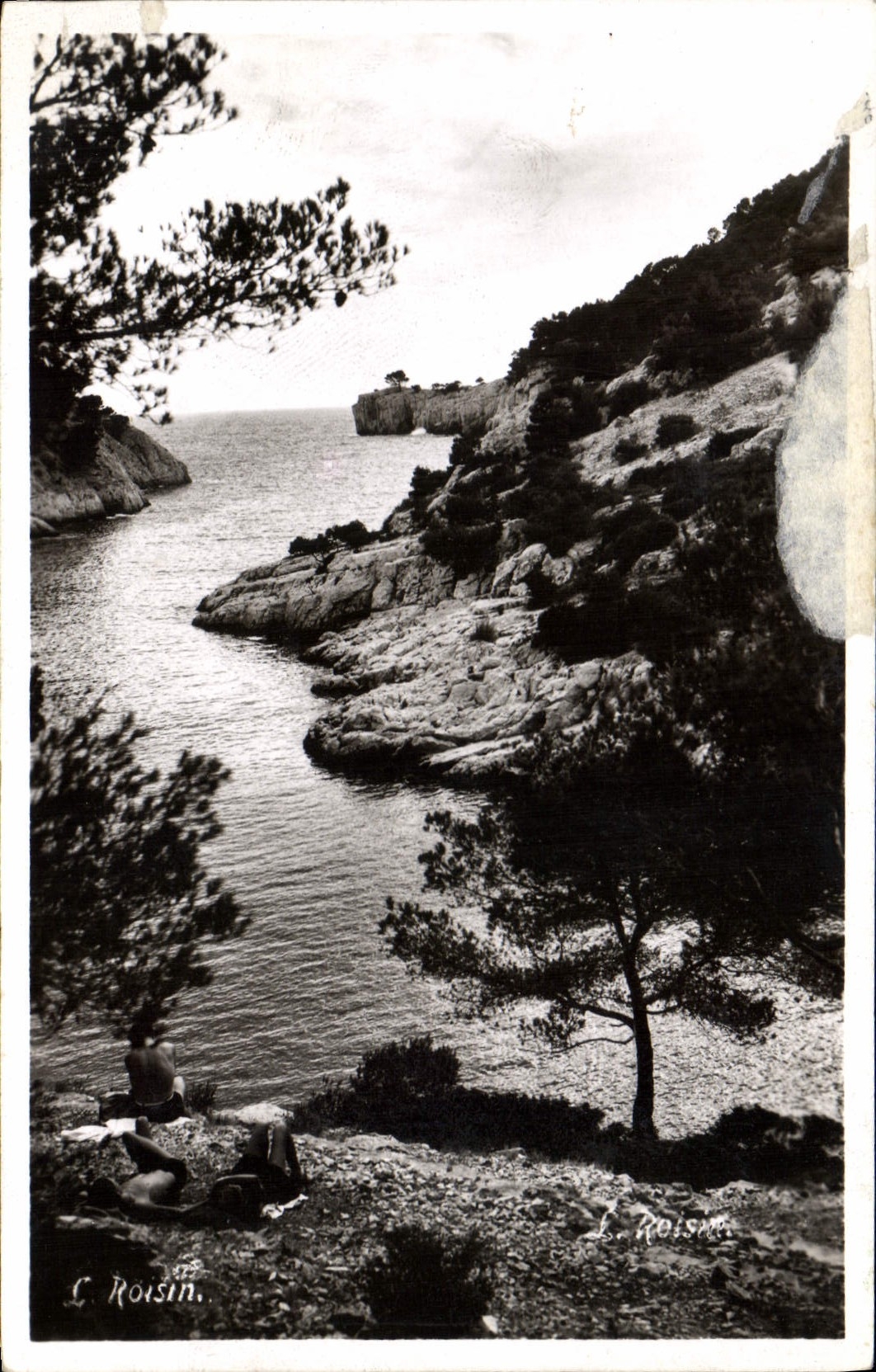 CPA Cassis sur Mer Calanque de Port Pin 