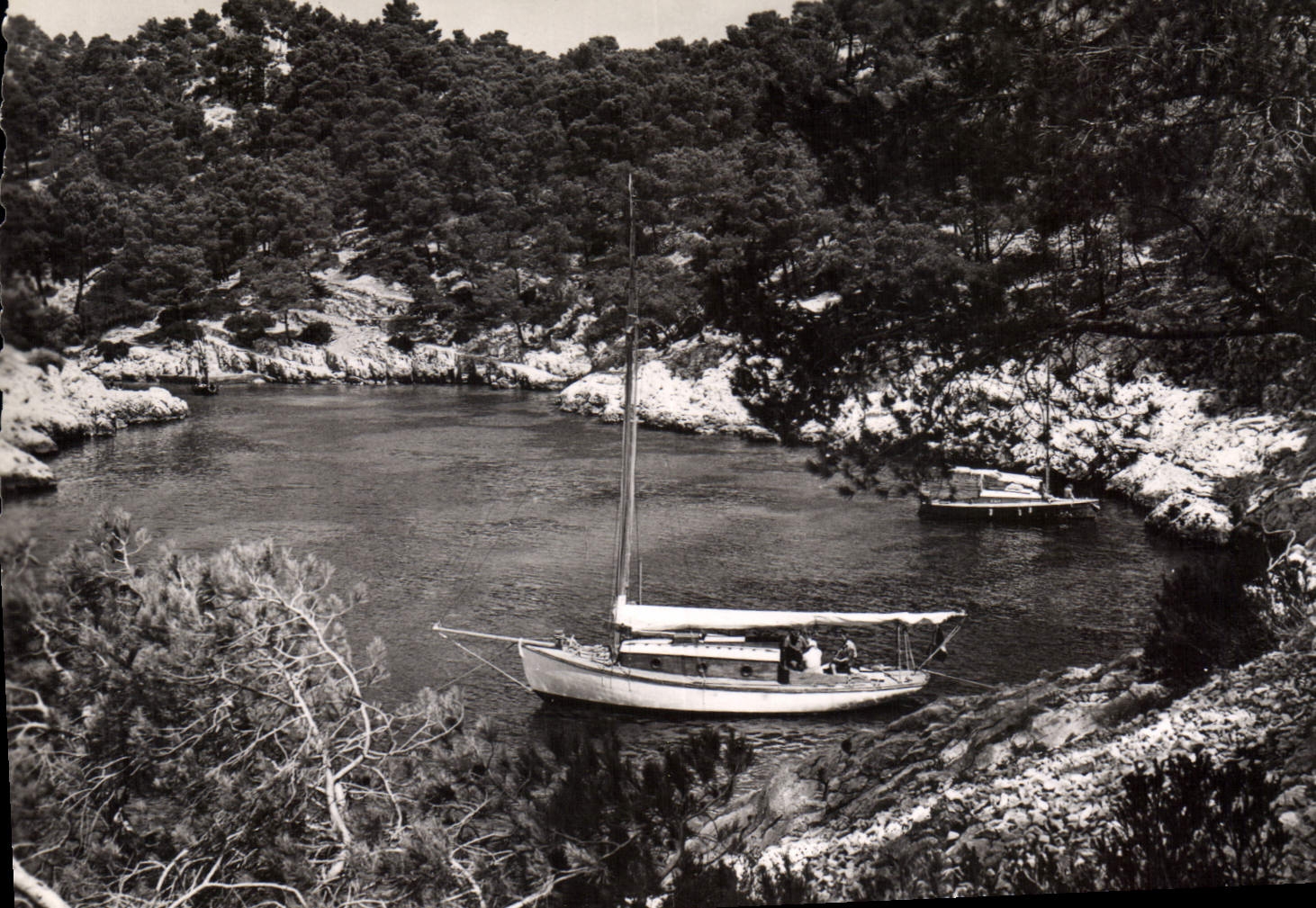 CPA Provence Cassis Calanque de Port Pin 