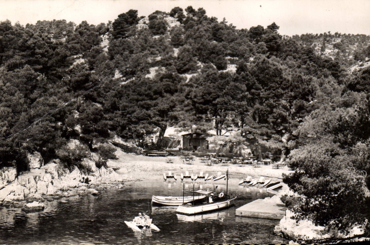 CPA Cassis B du R Calanque de Port Pin Qu'a vist Paris e noun Cassis a ren vist 