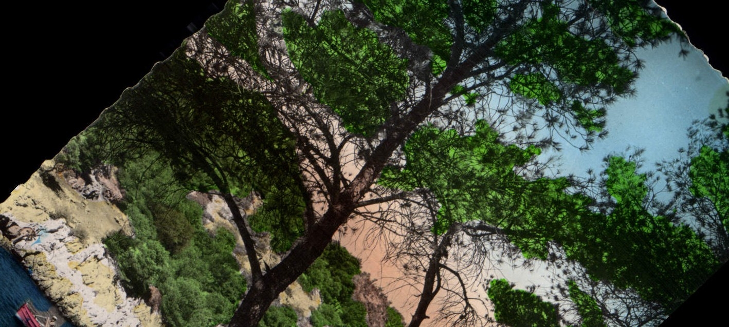 CPA Le Littoral Mediterraneen Cassis Calanque de Port Pin Qu'a vist Paris e noun Cassis a ren vist 