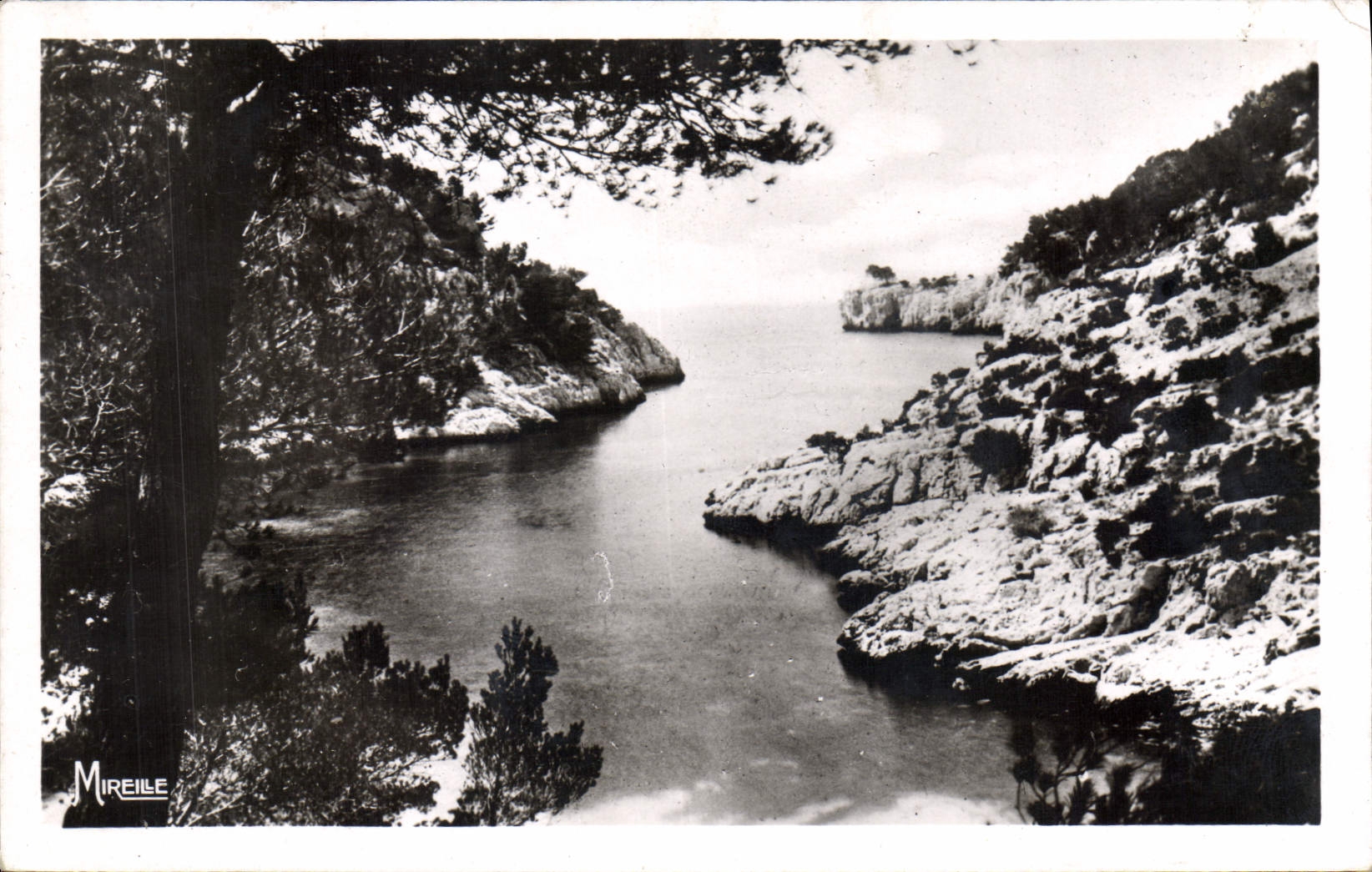 CPA La Cote Provence Calanque de Port Pin des Cassis 