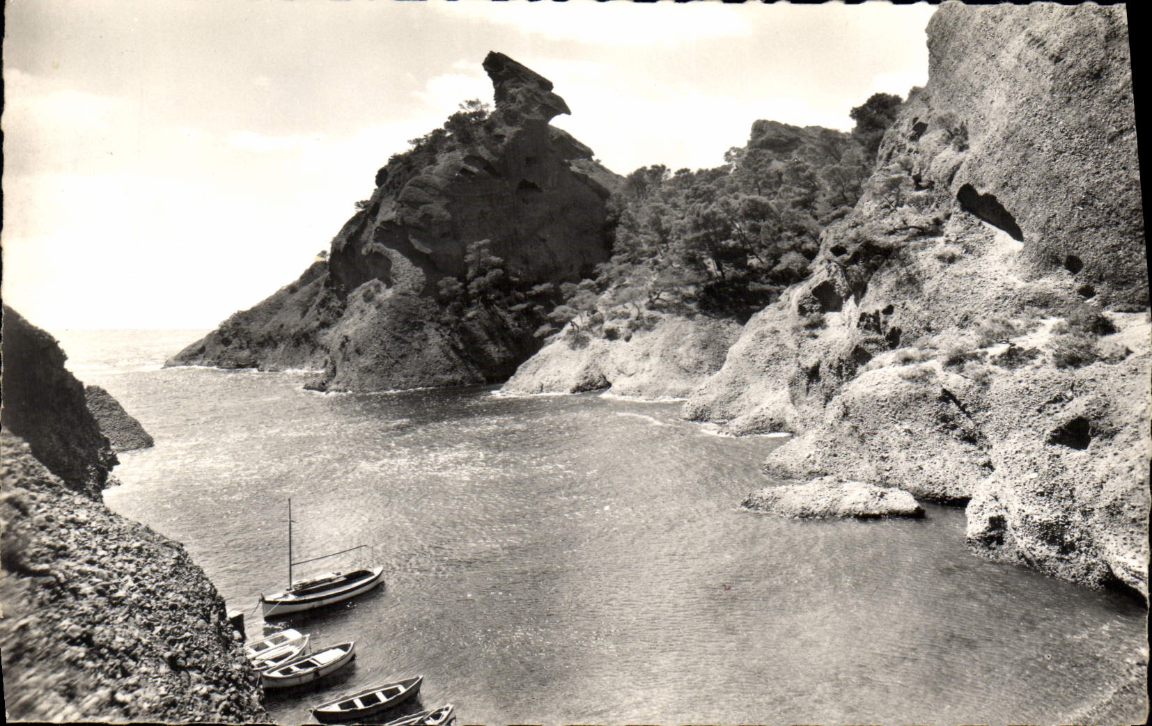 CPA La Ciotat B du R la Calanque de Figuerolles 