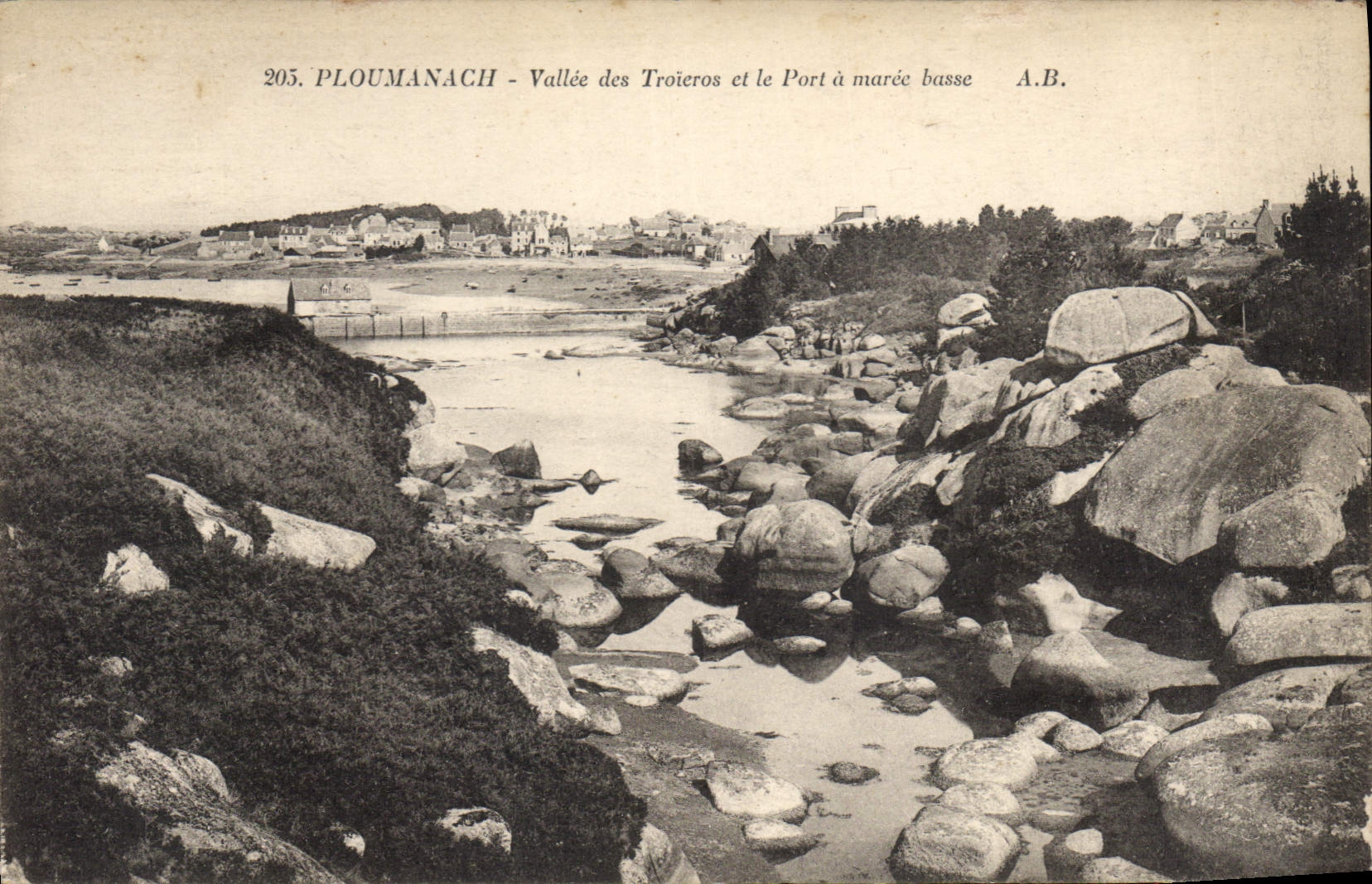 CPA Ploumanach Vallee des Troicros et le port a maree basse 