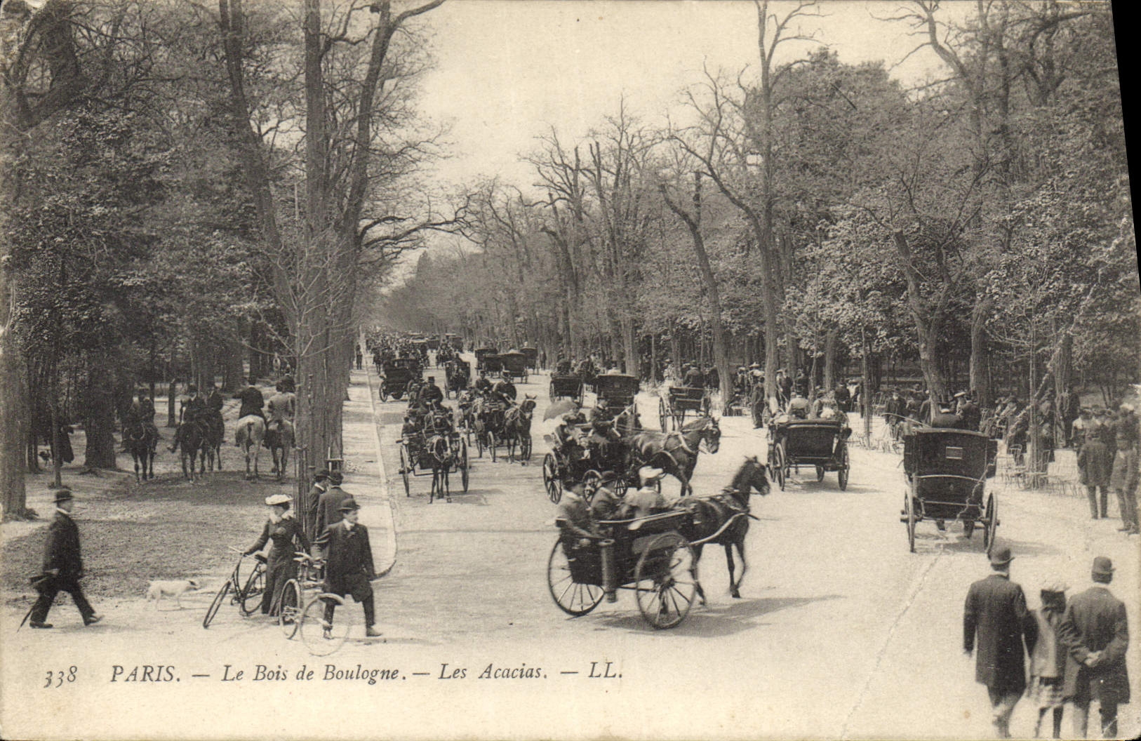 CPA Paris Le Bois de Boulogne Les Acacias 