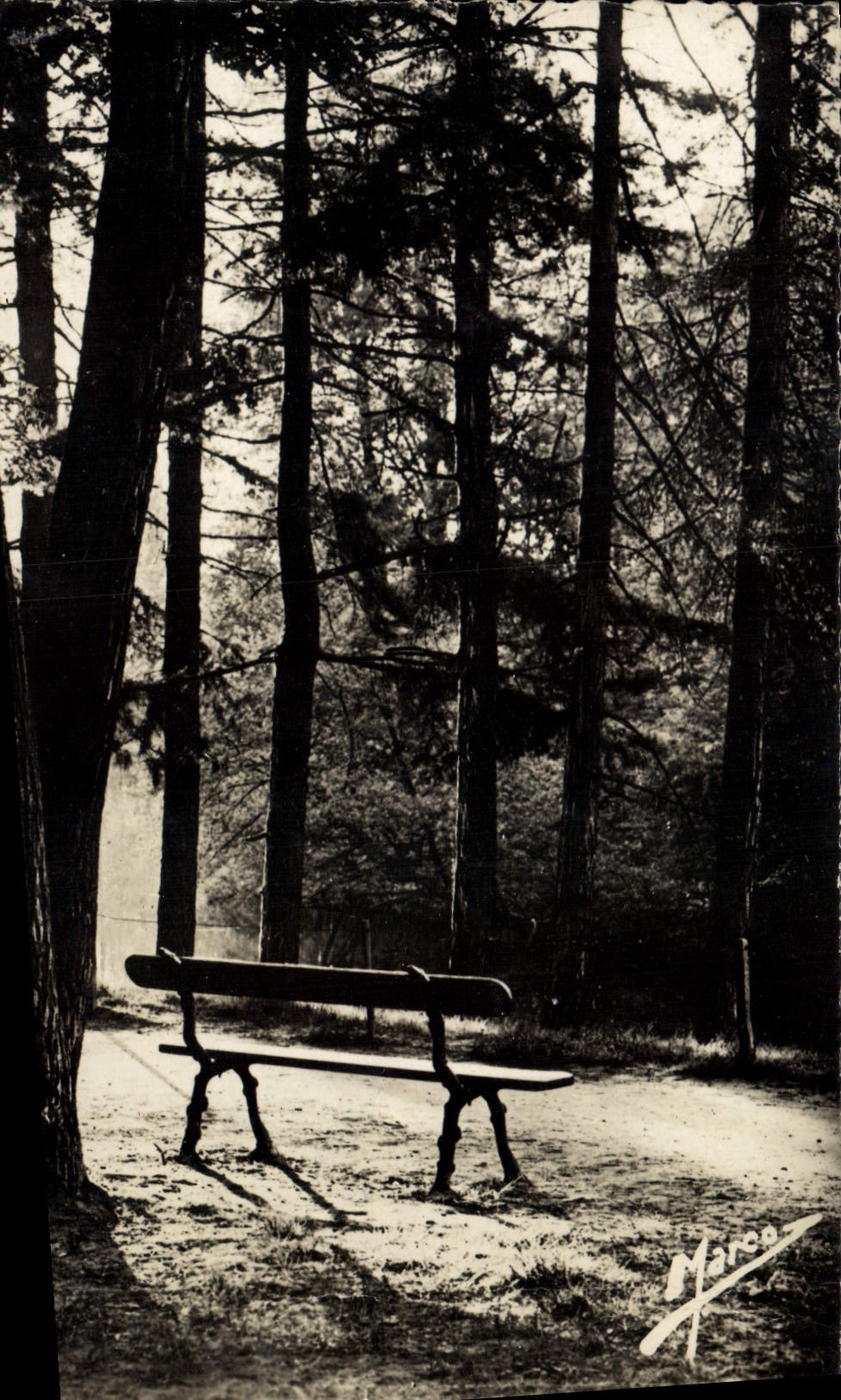 CPM Nos Jolis Sous Bois Le Bois de Vincennes Le Lac des Minimes Solitude 