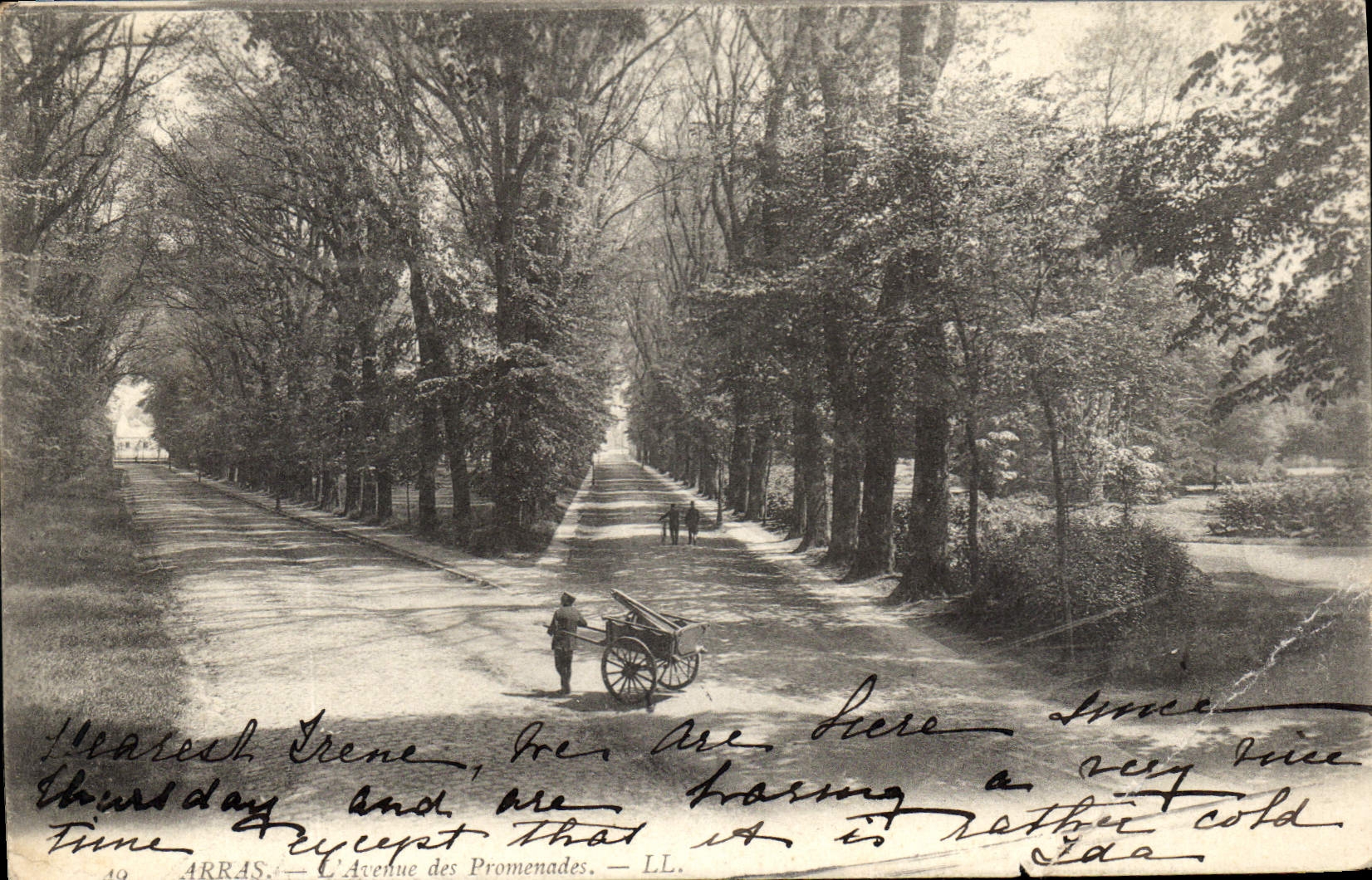 CPA Arras Avenue ds Promenade 