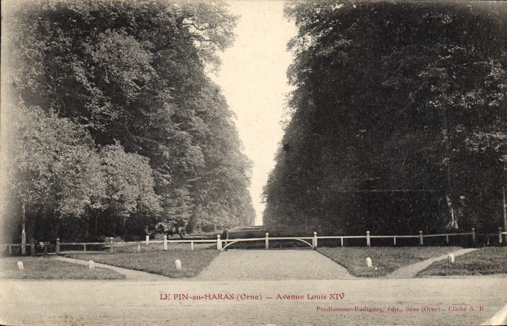 CPA Le Pin au Haras Orne Avenue Louis XIV 
