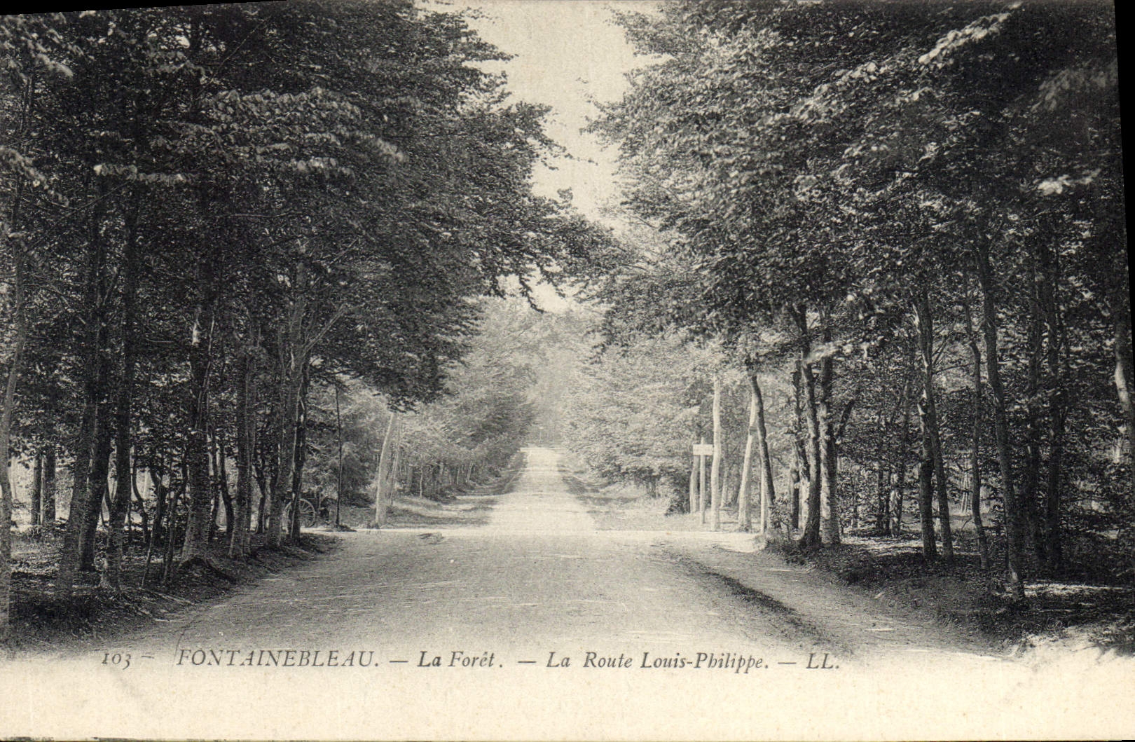 CPA Fontainebleau La Foret La Route Louis Philippe