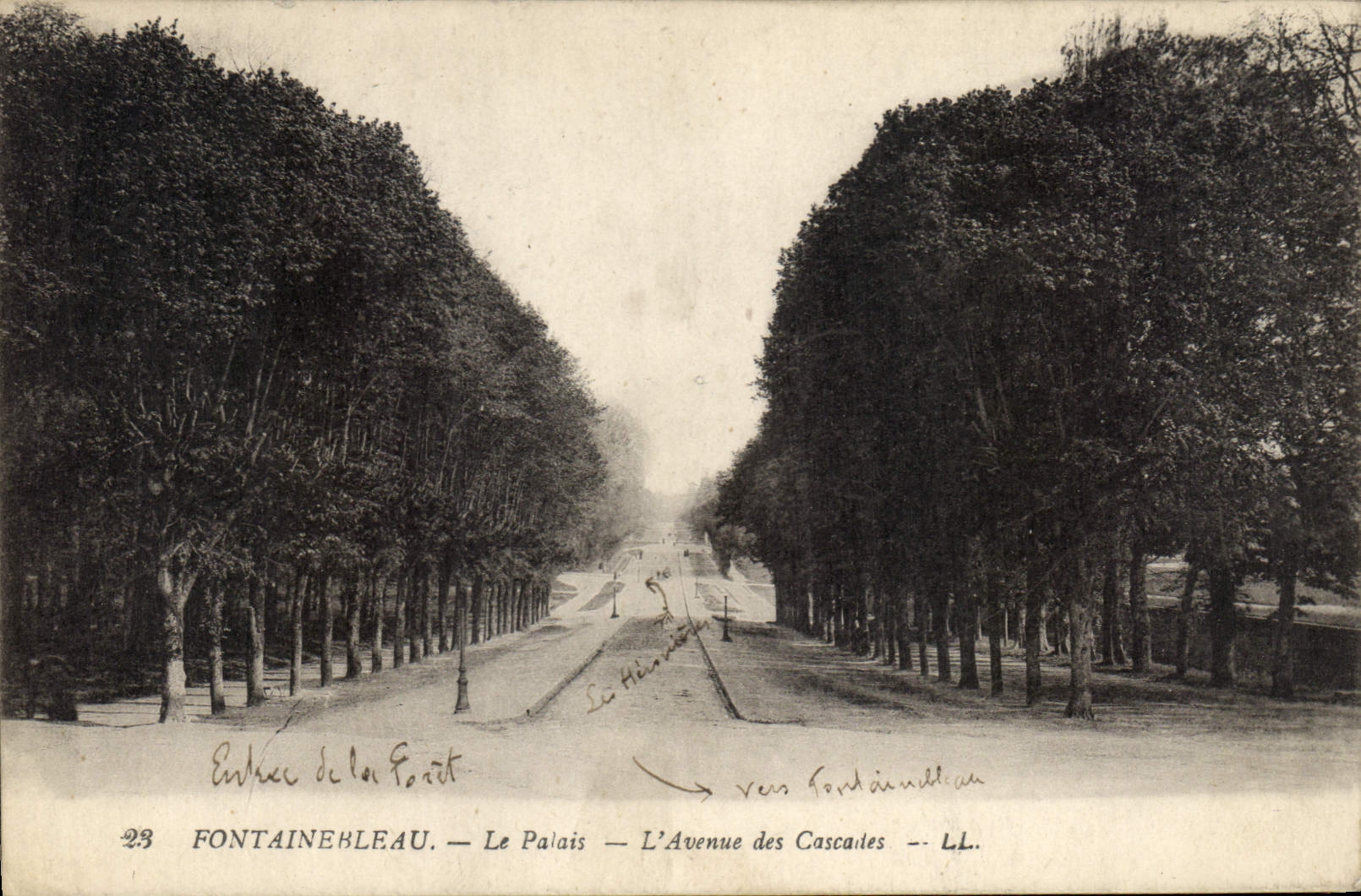 CPA Fontainebleau Le Palais l'Avenue des Cascades 