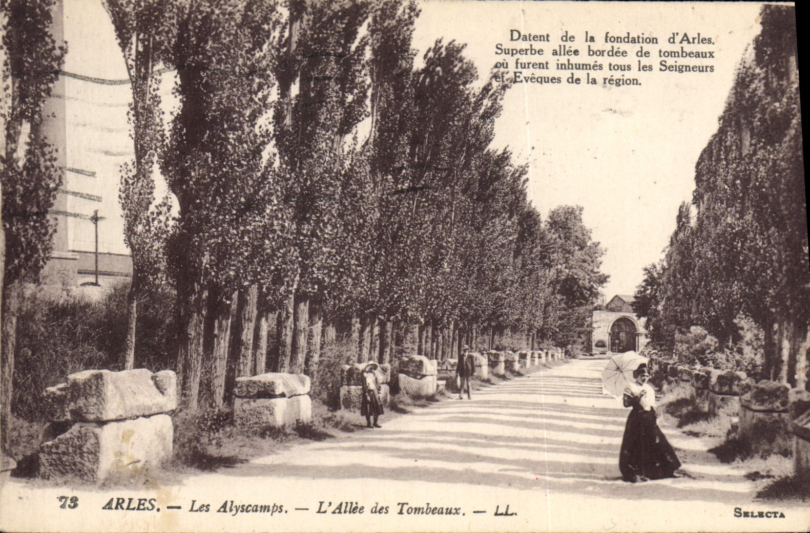 CPA Arles Les Alyscamps L'Allee des Tombeaux 