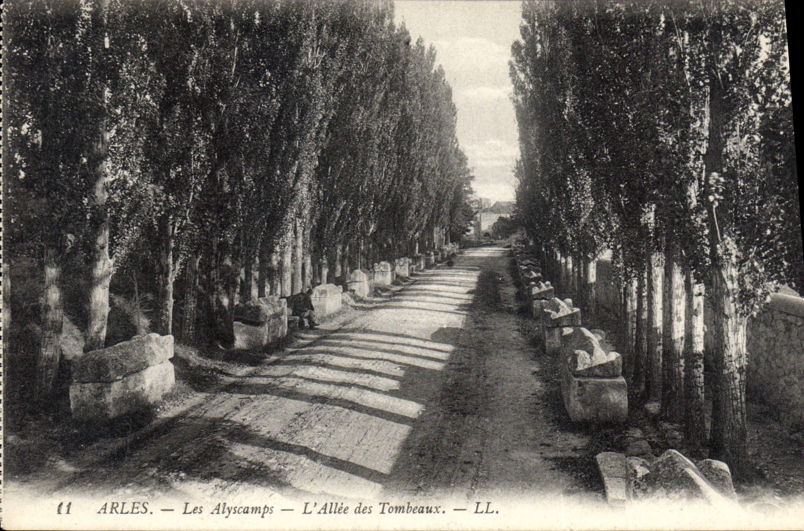 CPA Arles Les Alyscamps L'Allee des Tombeaux 