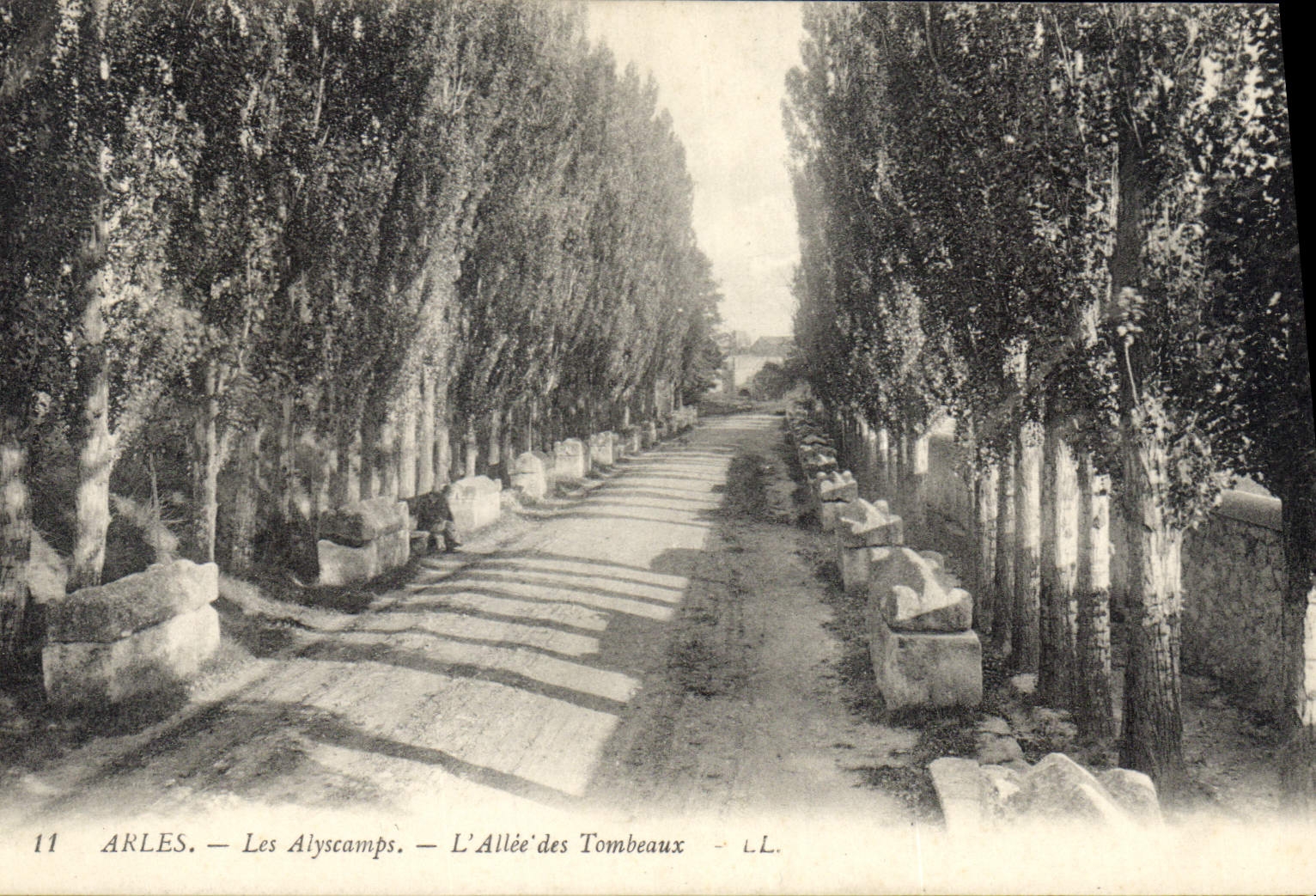CPA Arles Les Alyscamps L'Allee des Tombeaux 