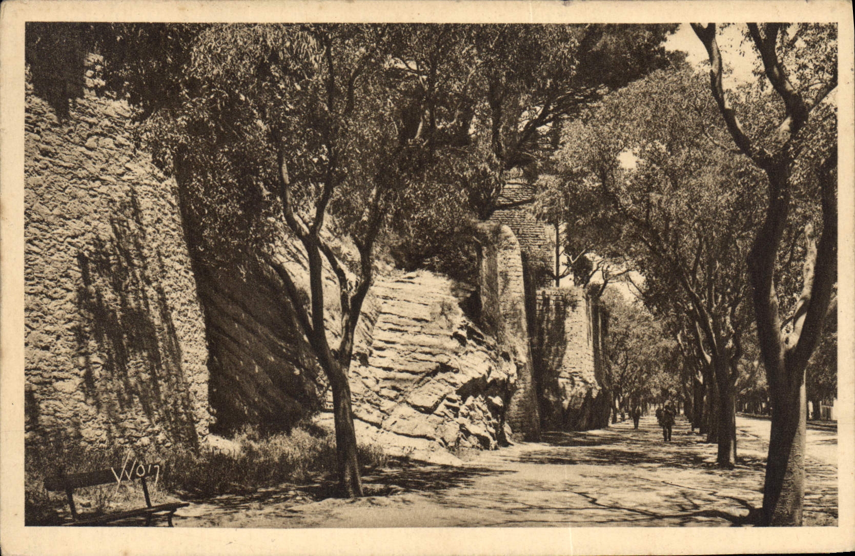 CPA Arles B du R Promenade de la Lice Les Ruines 